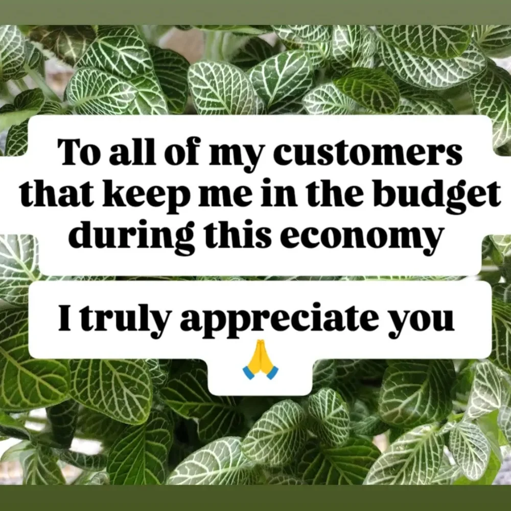 MADE WITH LOVE Organic Skincare 💚